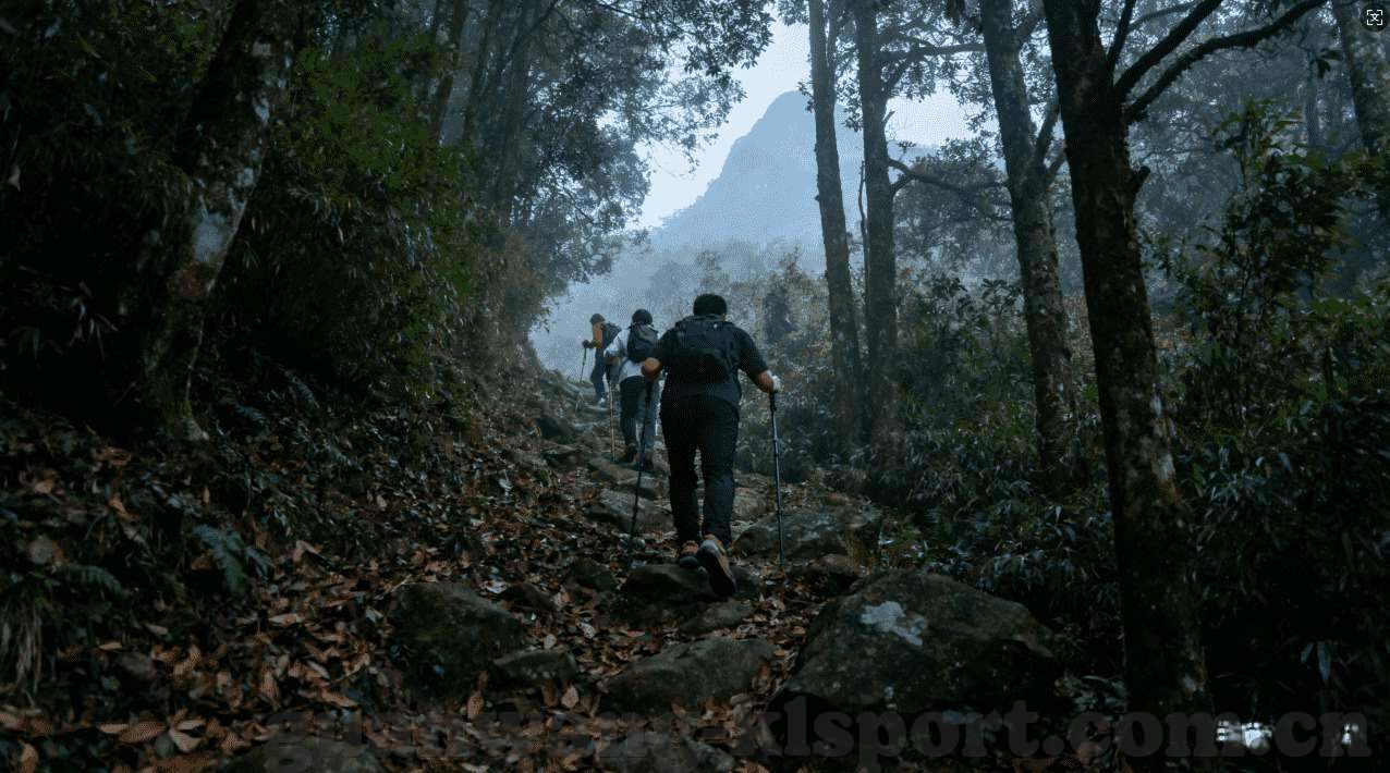 世界杯比分 接口-世界杯比分接口，连接激情与技术的桥梁